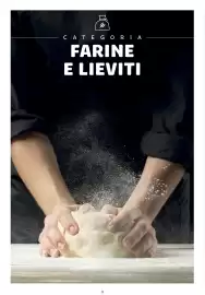 Volantino Docks Cash&Carry Pagina 3