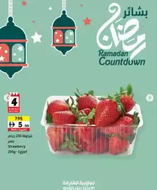 Sharjah Co-op catalogue Page 2