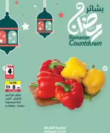 Sharjah Co-op catalogue Page 4