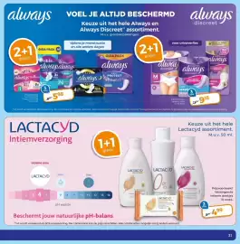 Trekpleister folder Pagina 31