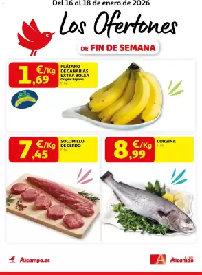 Folleto Alcampo (válido hasta el 18-01)