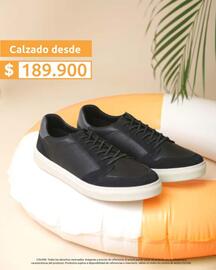 Catálogo Colore Página 2