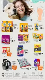 Encarte Giassi Supermercados Página 10