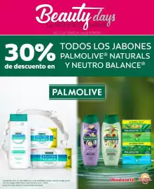 Folleto DelSol Página 2