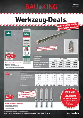 Bauking Katalog (gültig bis 31-03)
