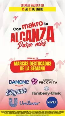 Catálogo Makro (válido hasta 21-01)