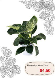 Blomsterlandet reklamblad Sida 10