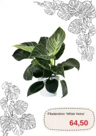 Blomsterlandet reklamblad Sida 10