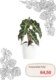 Blomsterlandet reklamblad Sida 4