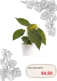 Blomsterlandet reklamblad Sida 7