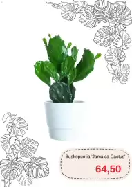 Blomsterlandet reklamblad Sida 8