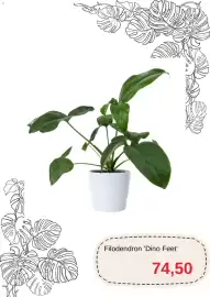 Blomsterlandet reklamblad Sida 9