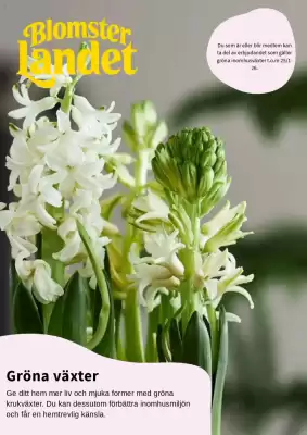 Blomsterlandet reklamblad (giltig till och med 26-01)