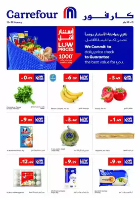 Carrefour catalogue (valid until 28-01)