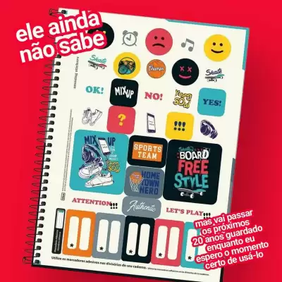 Encarte Lojas Americanas (válido até 16-01)