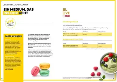 Billa Flugblatt Seite 14