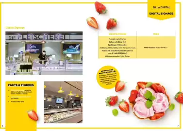 Billa Flugblatt Seite 4