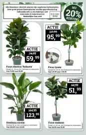 Tuincentrum Osdorp folder Pagina 2