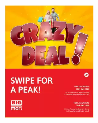 Bigmart leaflet (valid until 18-01)