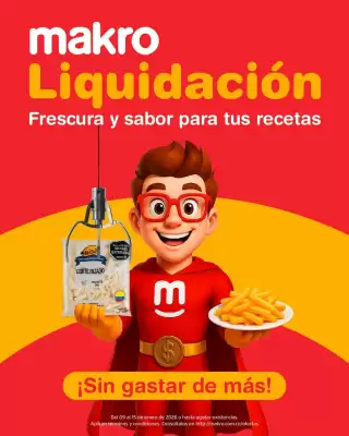 Catálogo Makro (válido hasta 15-01)