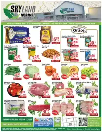 Skyland Foodmart flyer week 3 Page 1