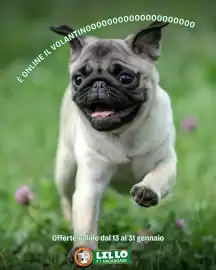 Volantino Lillo e i Vagabondi Pagina 1