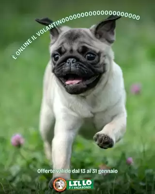 Volantino Lillo e i Vagabondi (valido fino al 31-01)