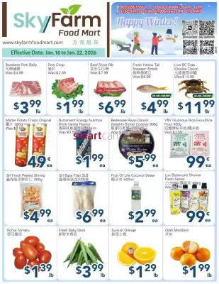 SkyFarm Food Mart flyer (valid until 22-01)