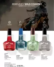 Catálogo Avon Página 103