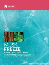 Catálogo Avon Página 99