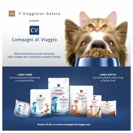 Volantino Iper La Grande Pagina 27