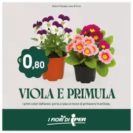 Volantino Iper La Grande Pagina 37