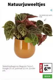 Intratuin folder week 4 Pagina 2