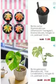 Intratuin folder week 4 Pagina 3