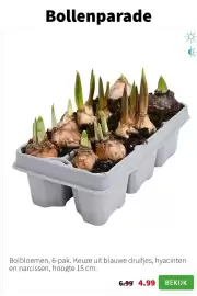 Intratuin folder week 4 Pagina 4