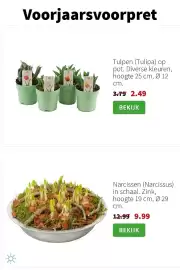 Intratuin folder week 4 Pagina 5