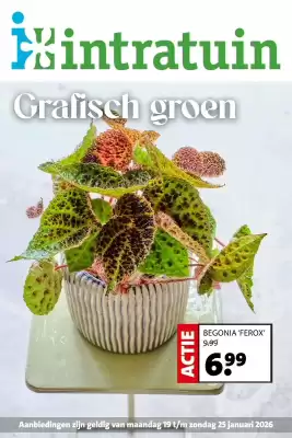 Intratuin folder (geldig t/m 25-01)