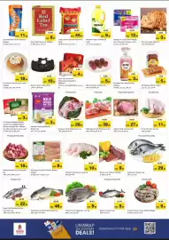 Nesto catalogue Page 3