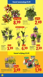 Lidl folder week 4 Pagina 22