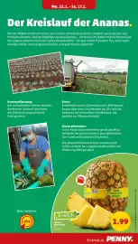 PENNY Prospekt woche 4 Seite 11