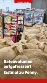 PENNY Prospekt woche 4 Seite 26