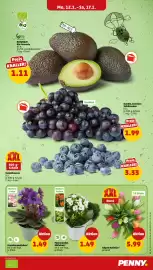 PENNY Prospekt woche 4 Seite 7