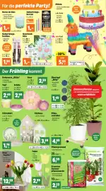 Thomas Philipps Prospekt woche 4 Seite 4