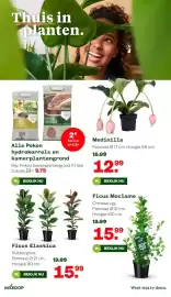 Welkoop folder Pagina 14