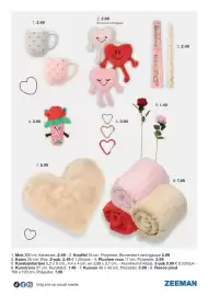 Zeeman folder Pagina 17