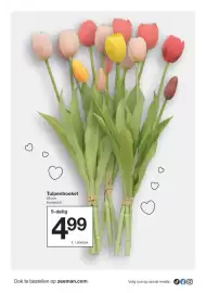 Zeeman folder Pagina 24