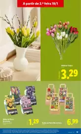 Folheto Lidl | Novidades Página 19