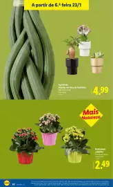 Folheto Lidl | Novidades Página 20