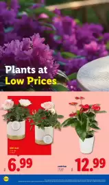 Lidl weekly ad Page 28