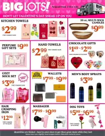 Big Lots weekly ad Page 2